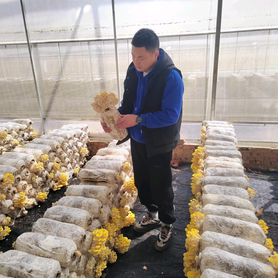 黄河落日袁同学