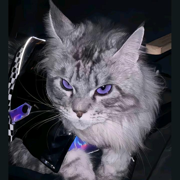 乌银猫