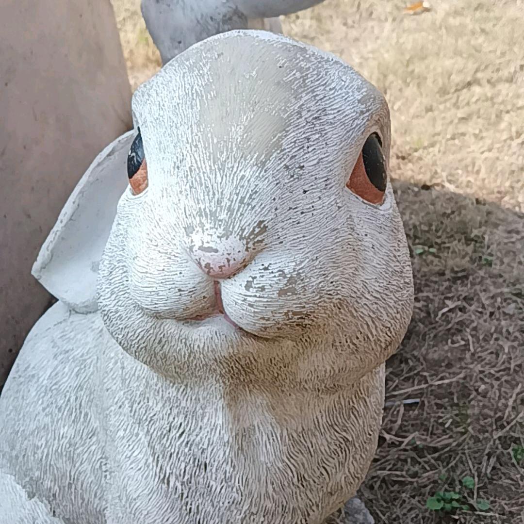 诚信待人。