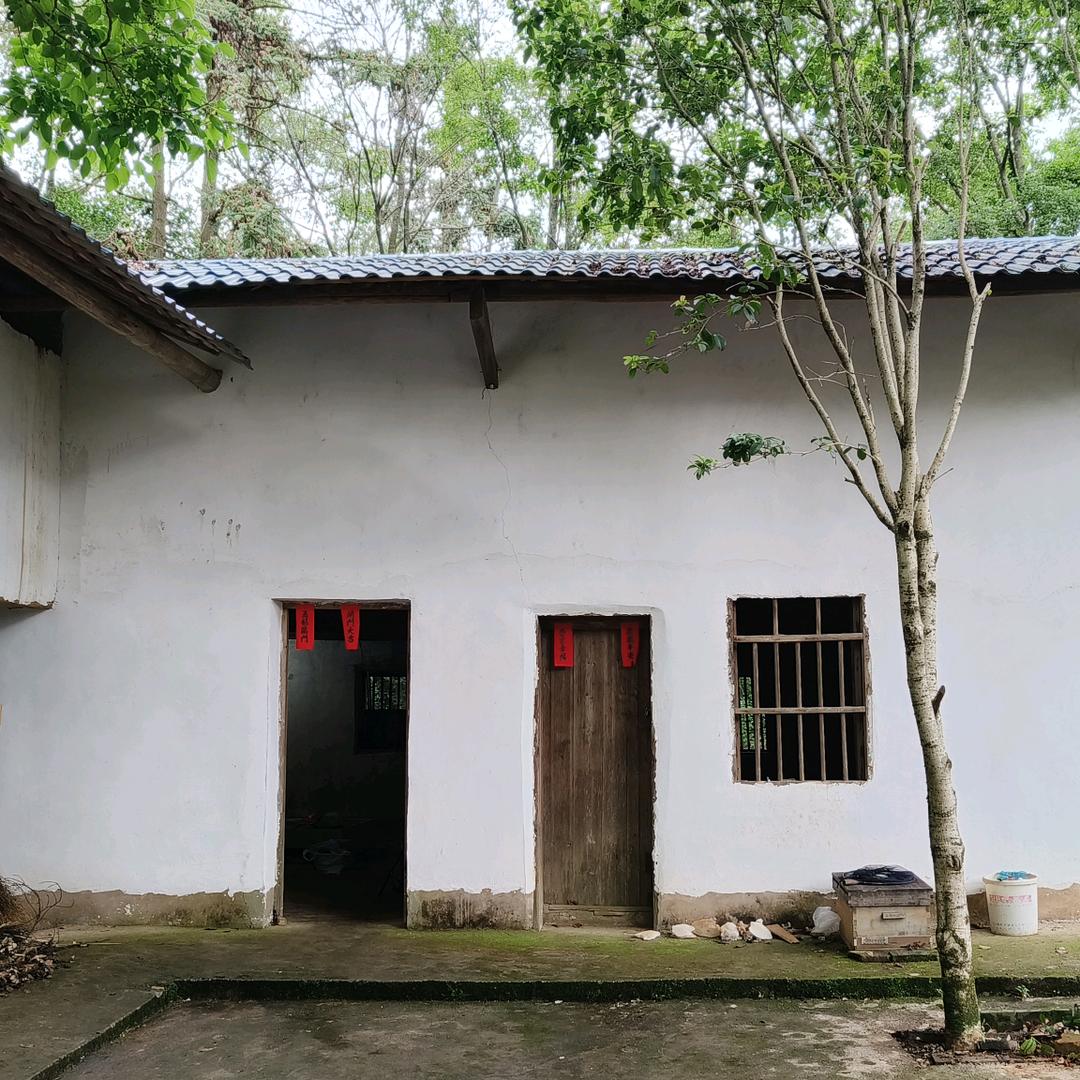 瑞京毛哥