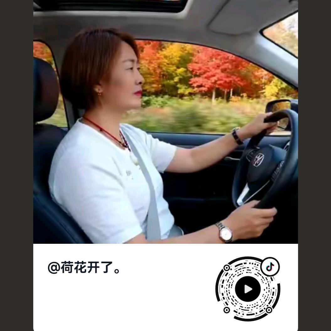 荷花开了。