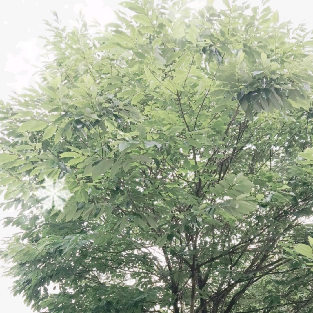 工地小哥。
