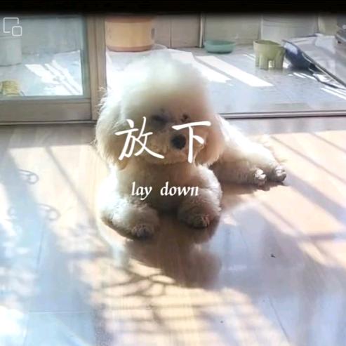 只要在变好，慢一点又何妨