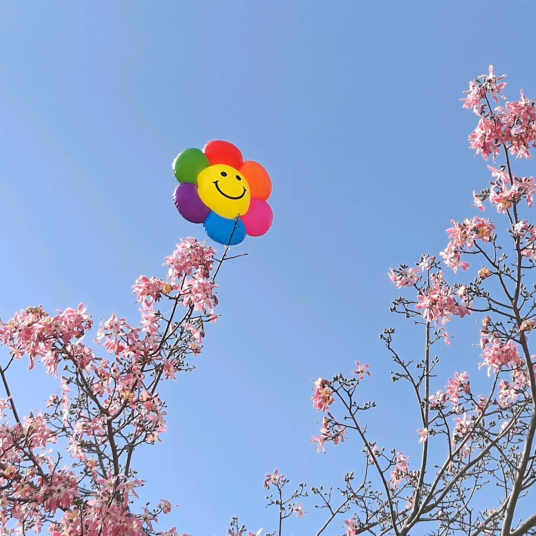 想你太液