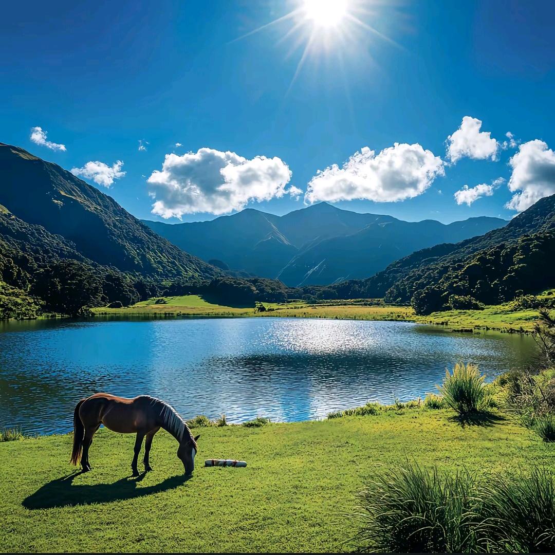兴仁市掏物石日用百货店（个体工商户）