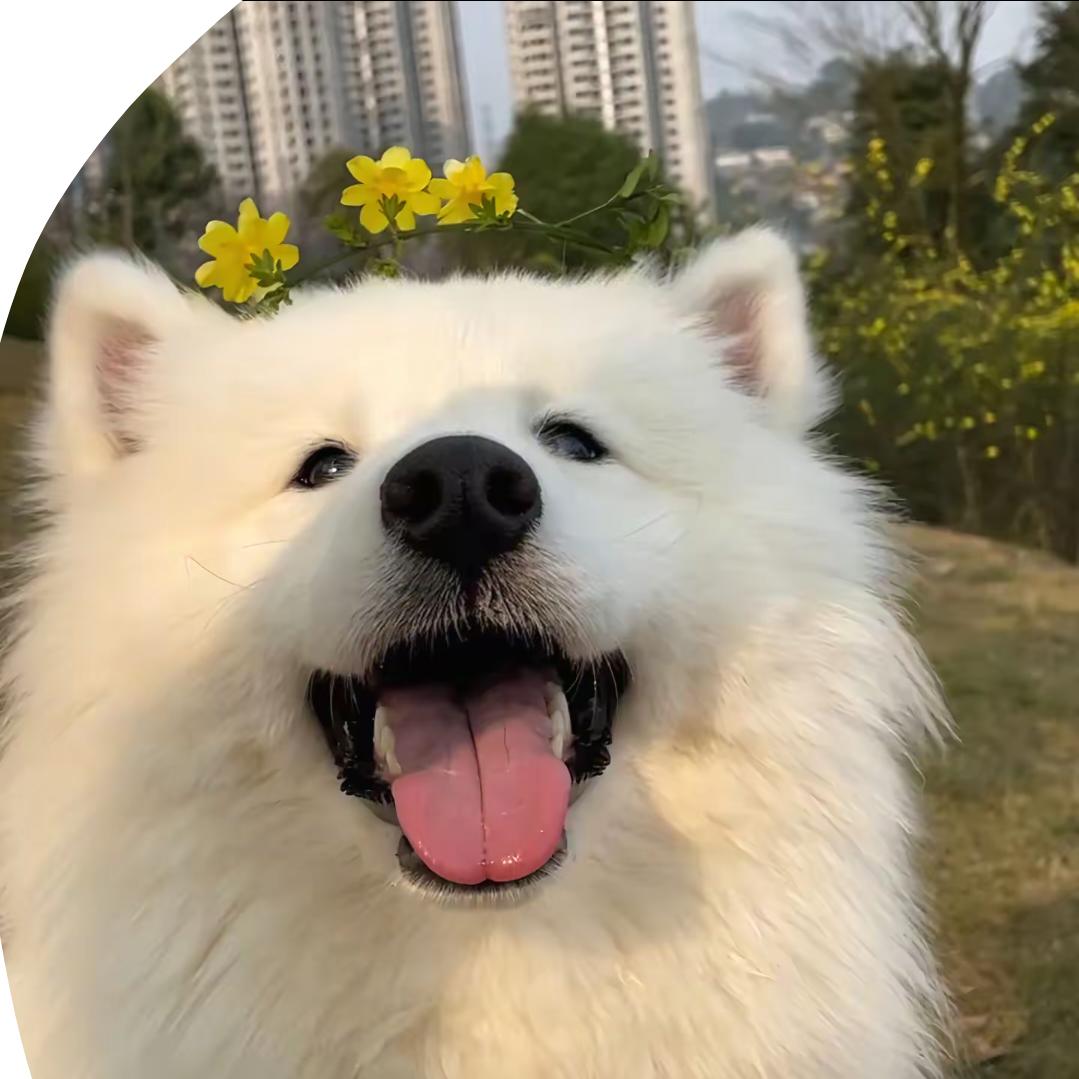 怡宝吖（三角洲代杆）