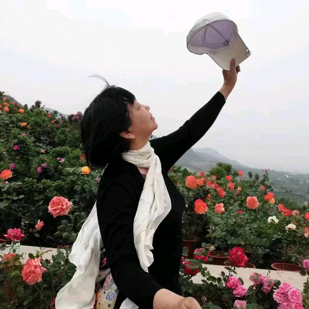 梅姨