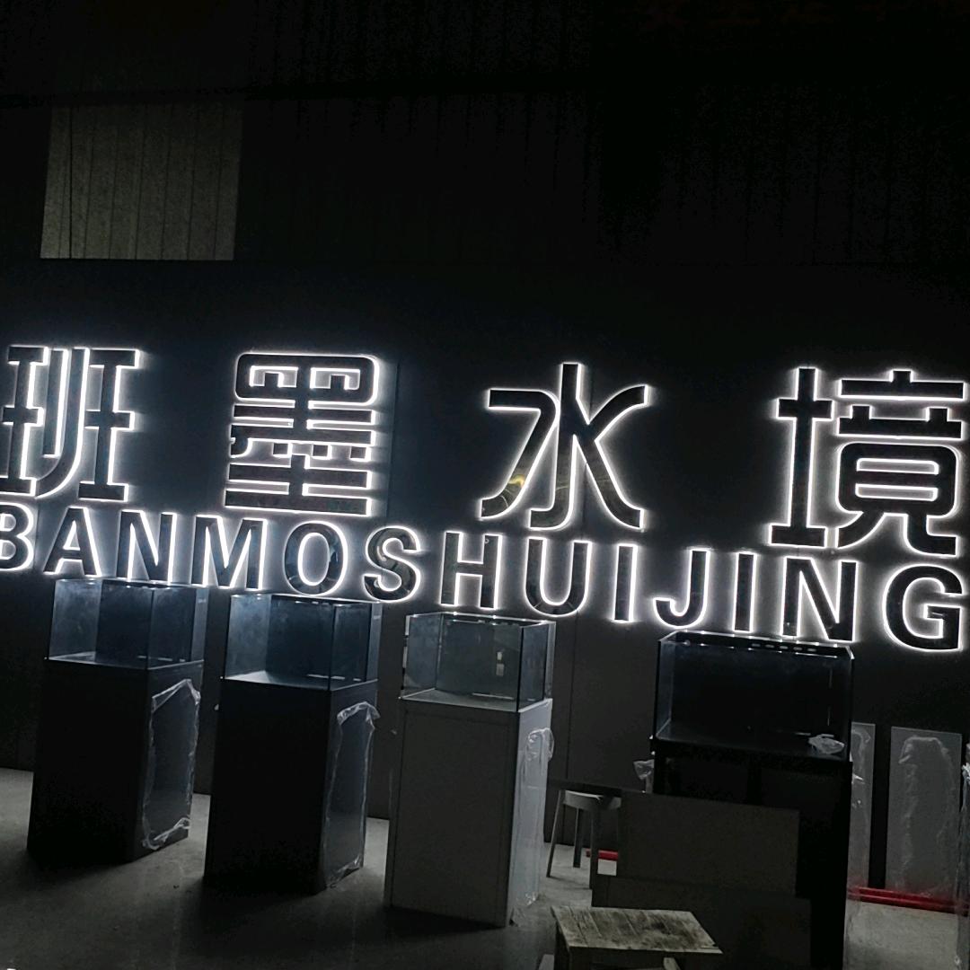 班墨水镜-大黄鱼