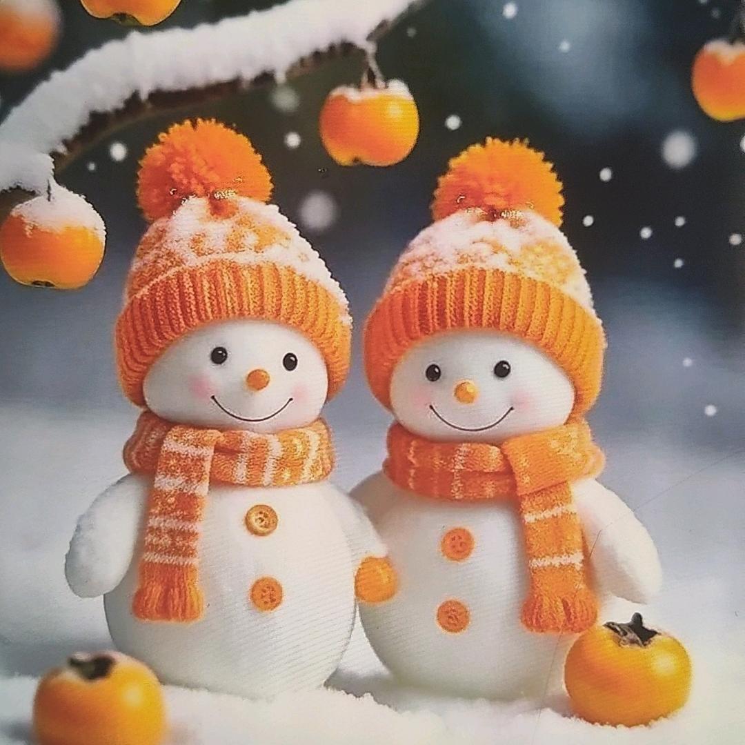 风意冷🥶
