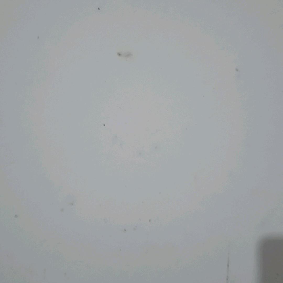 已重置
