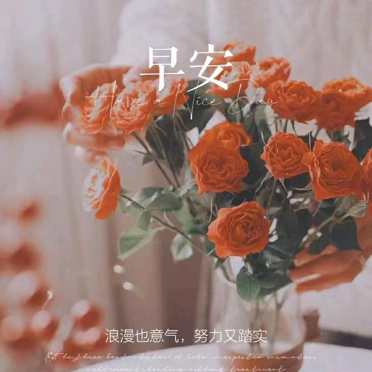 岁月静好