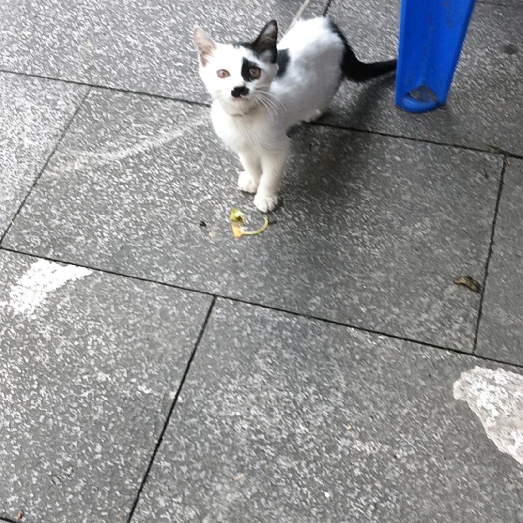存钱罐