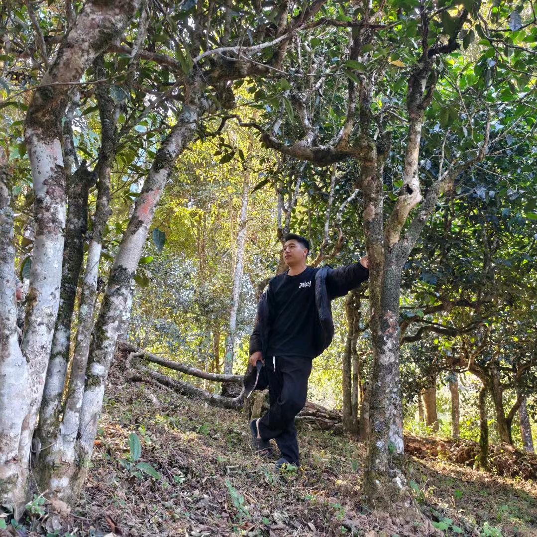 水河興號（小伯）