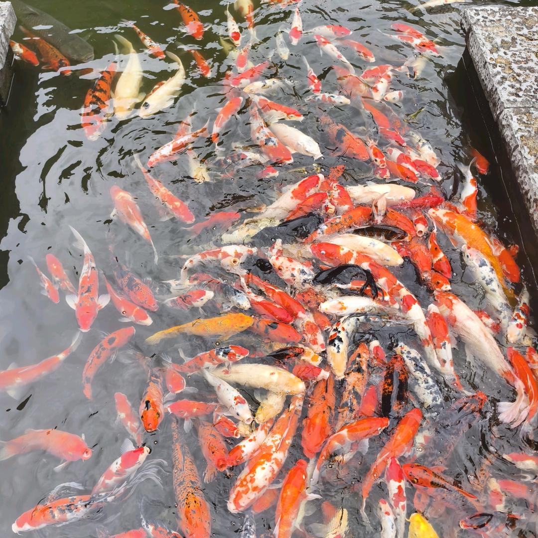 腾图教育升学指导提分王