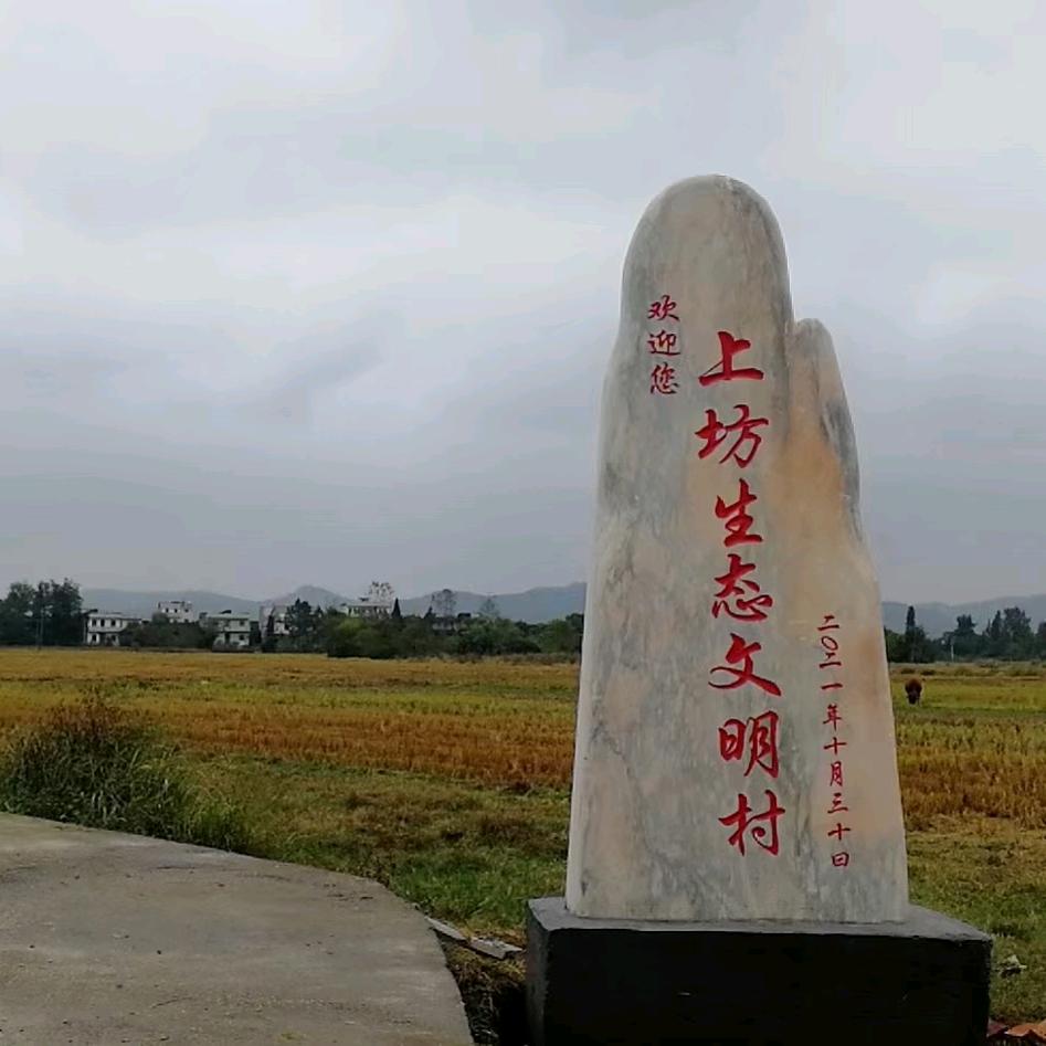 @沉🍒默