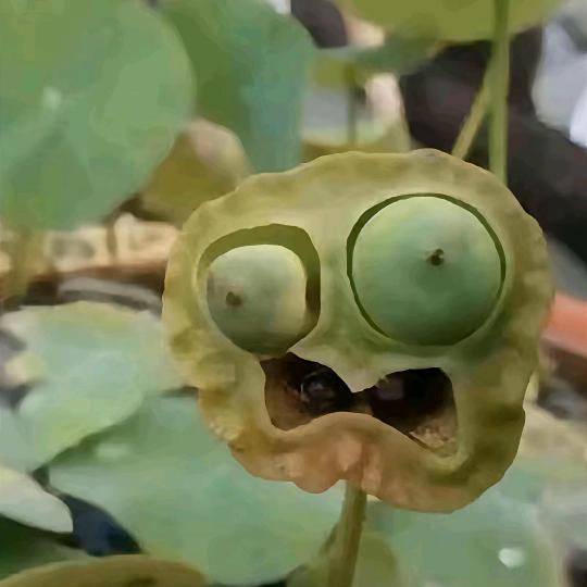 蹦吧滴哒啦