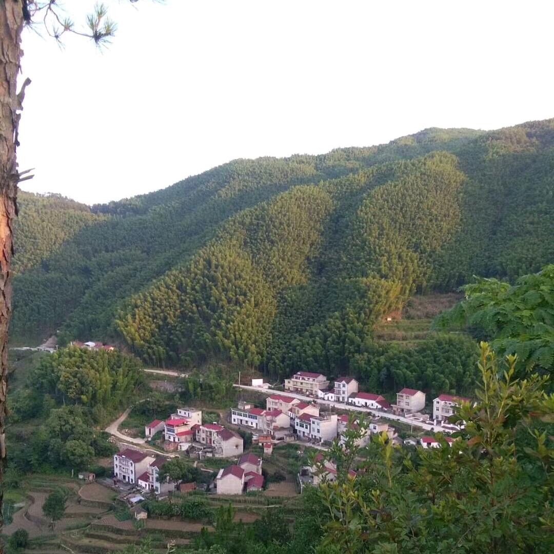 ༺三 爷༻