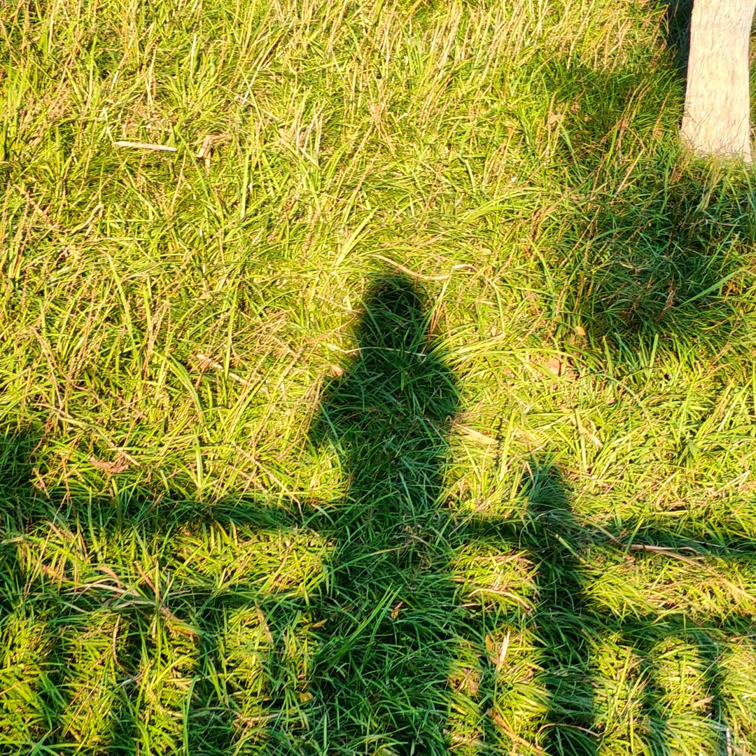 🍉🍎🍓🍇🍈🍒🍑🥭🥝