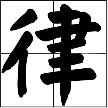 刑事辩护 杨律