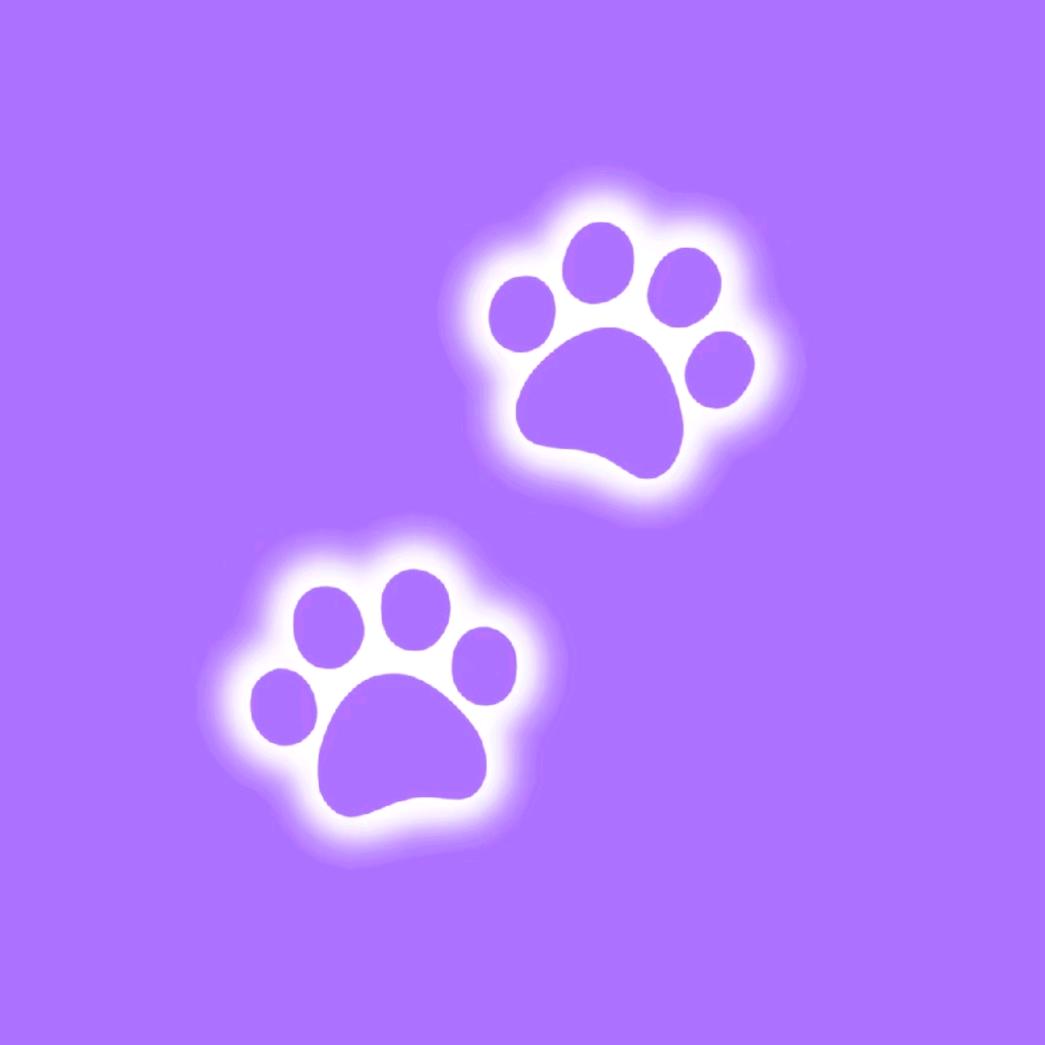 怎么可以吃兔兔