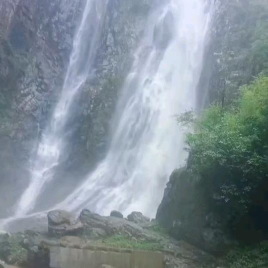 看花香🌹🍒🌲