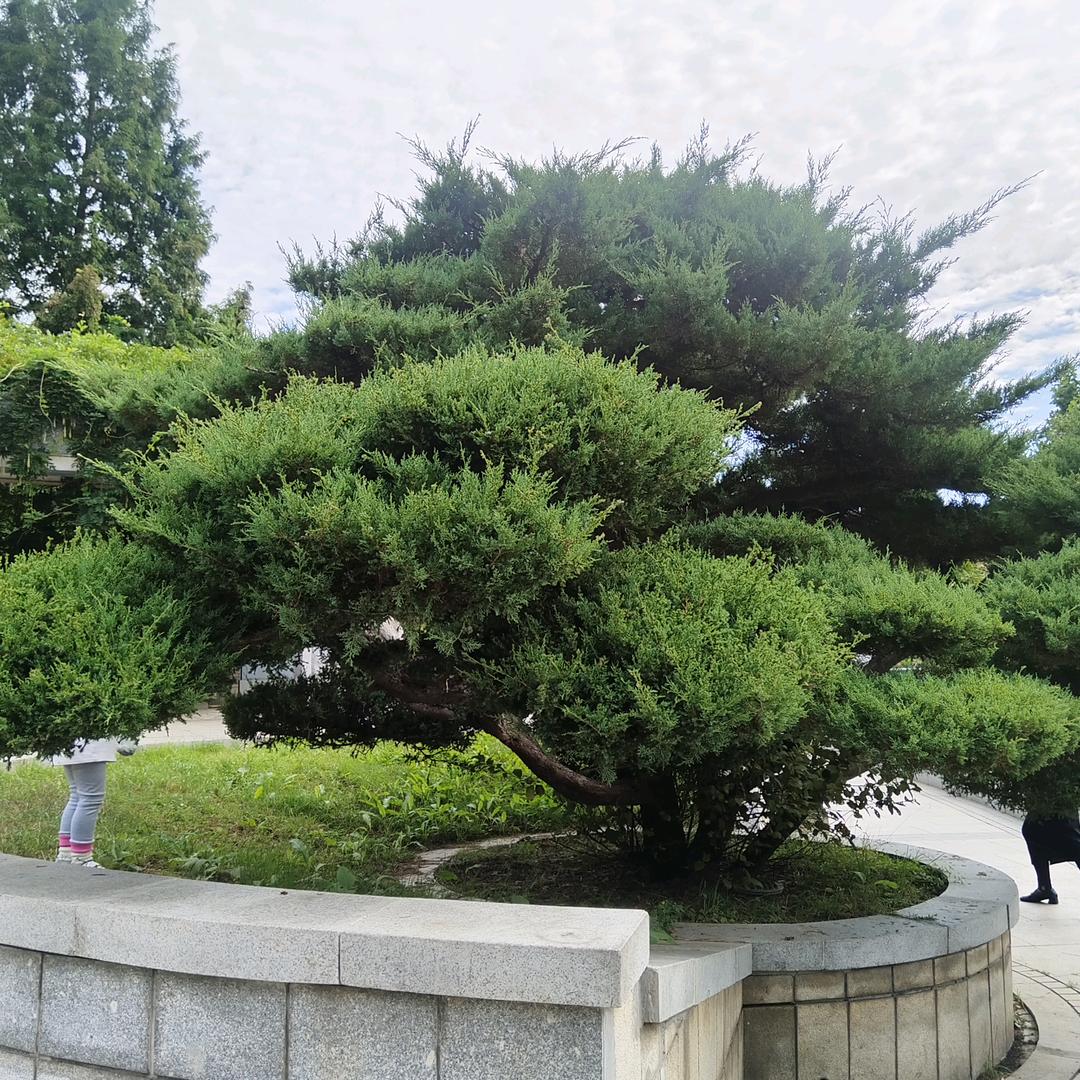 70后大叔