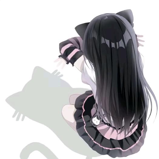 呆少