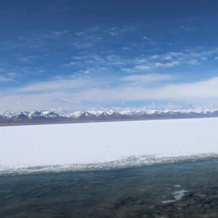 不吃鱼的钓鱼佬