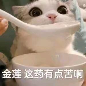 老八出门