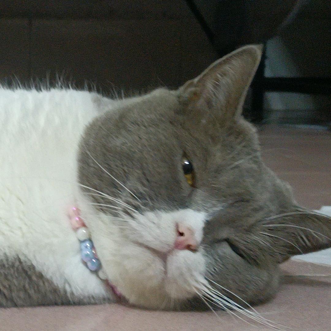不桃了