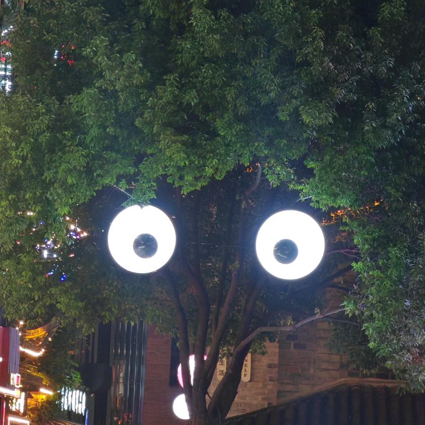 道在自然