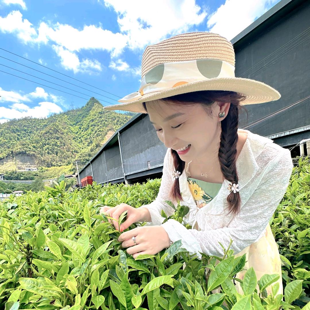 我是何小姐