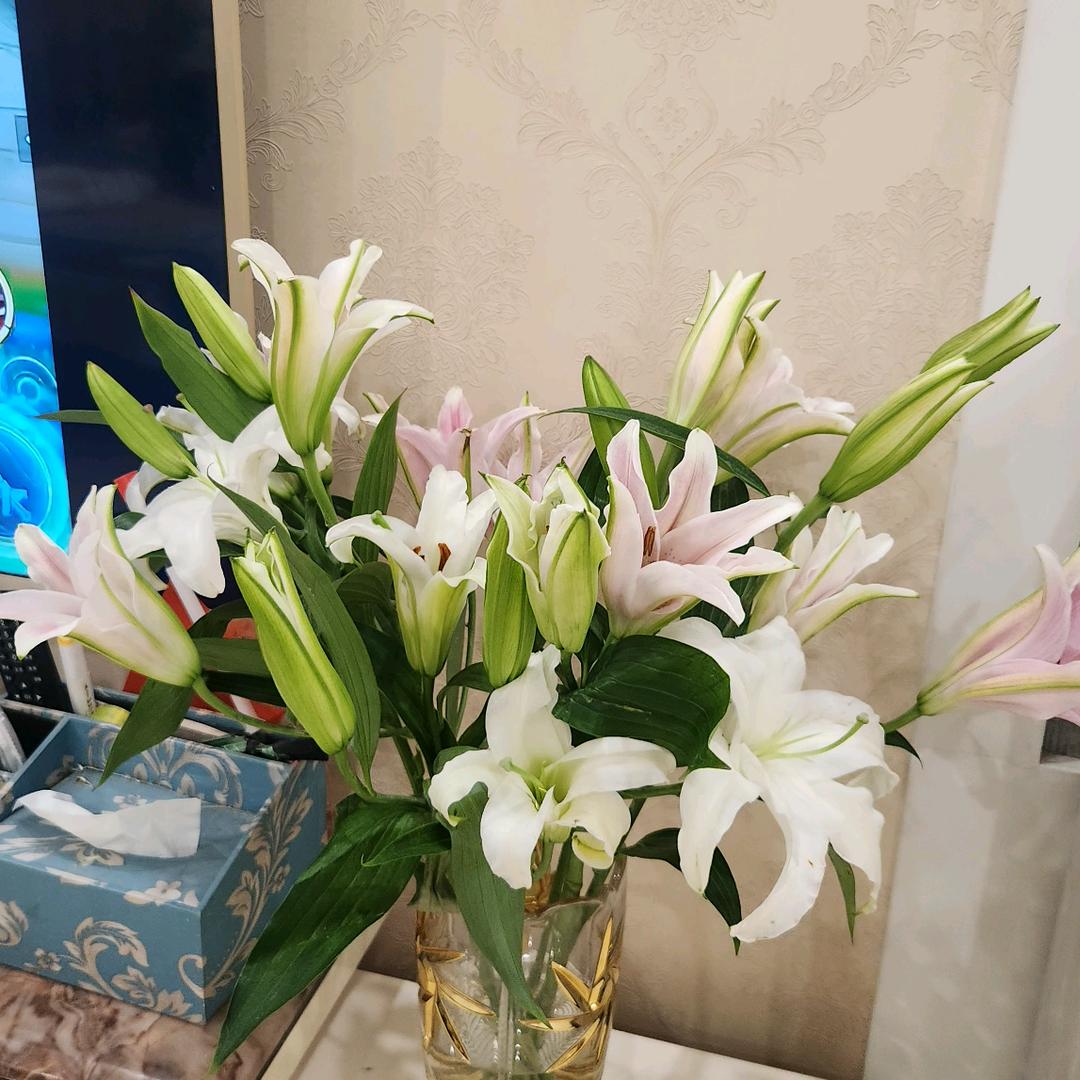 ༽ཽ²º²⁵༼ཽ时光💞ꦿ᭄࿆静好