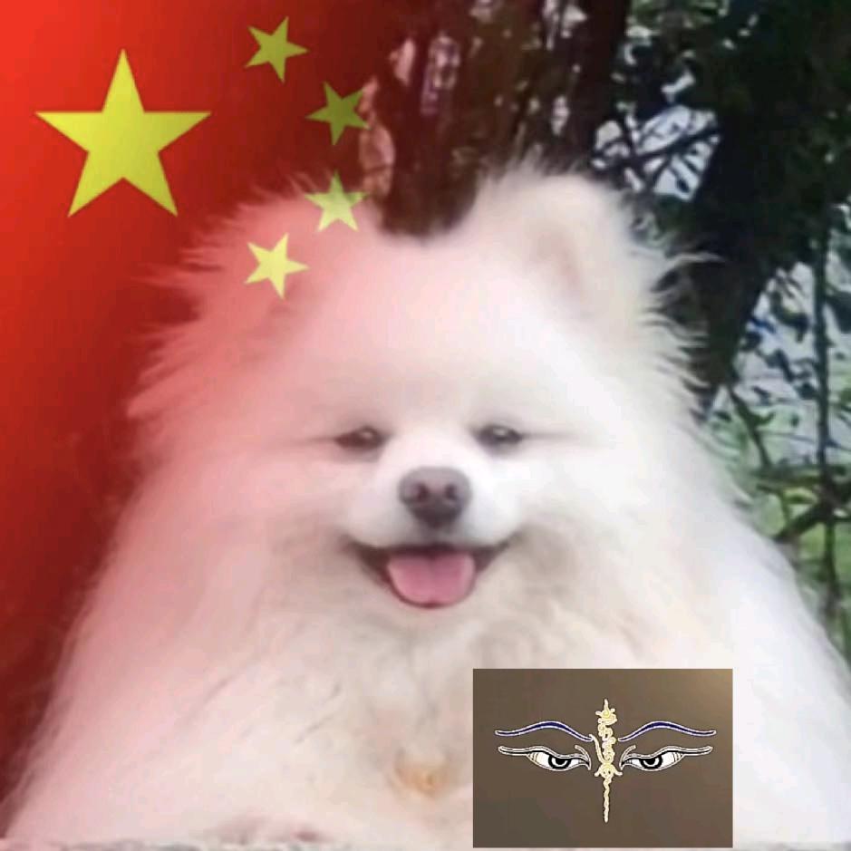 ༺༼惟善最樂Su肆零鸿༽༻