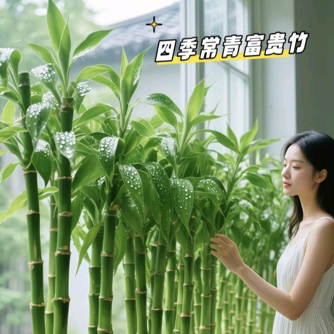 雪靓儿，容容