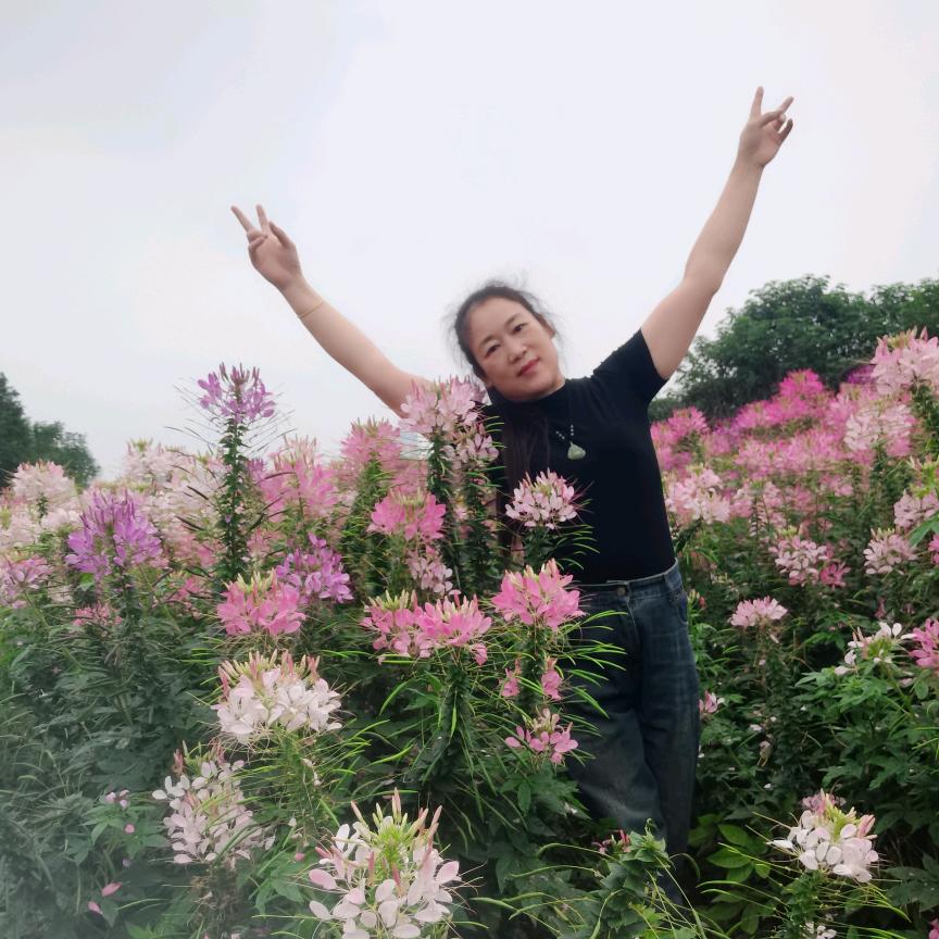 莉姐