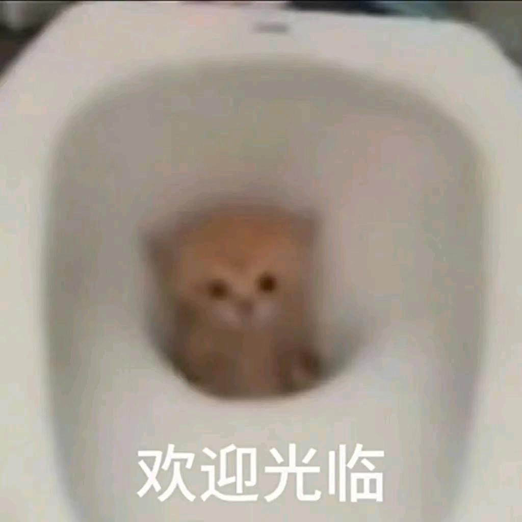振作起来，哈吉me