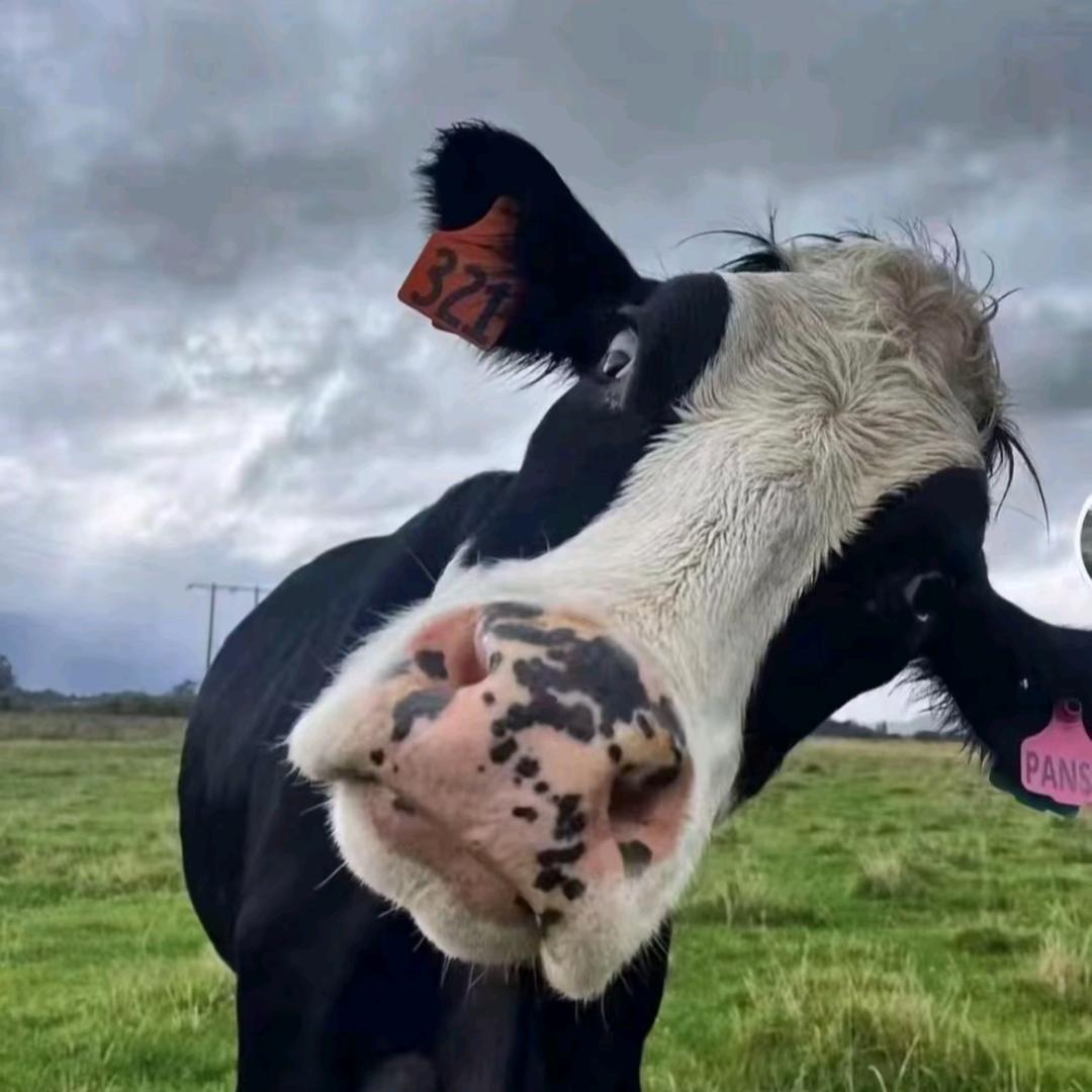 我看看～咋回事儿