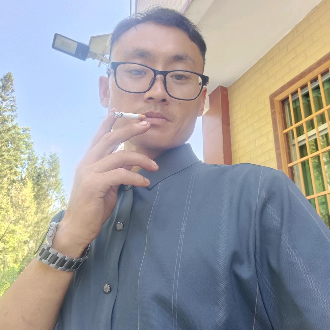 贵州沿河枫香树出售老罗