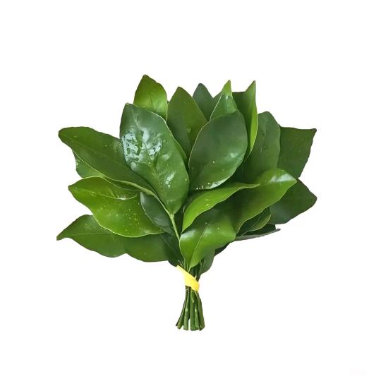 湉