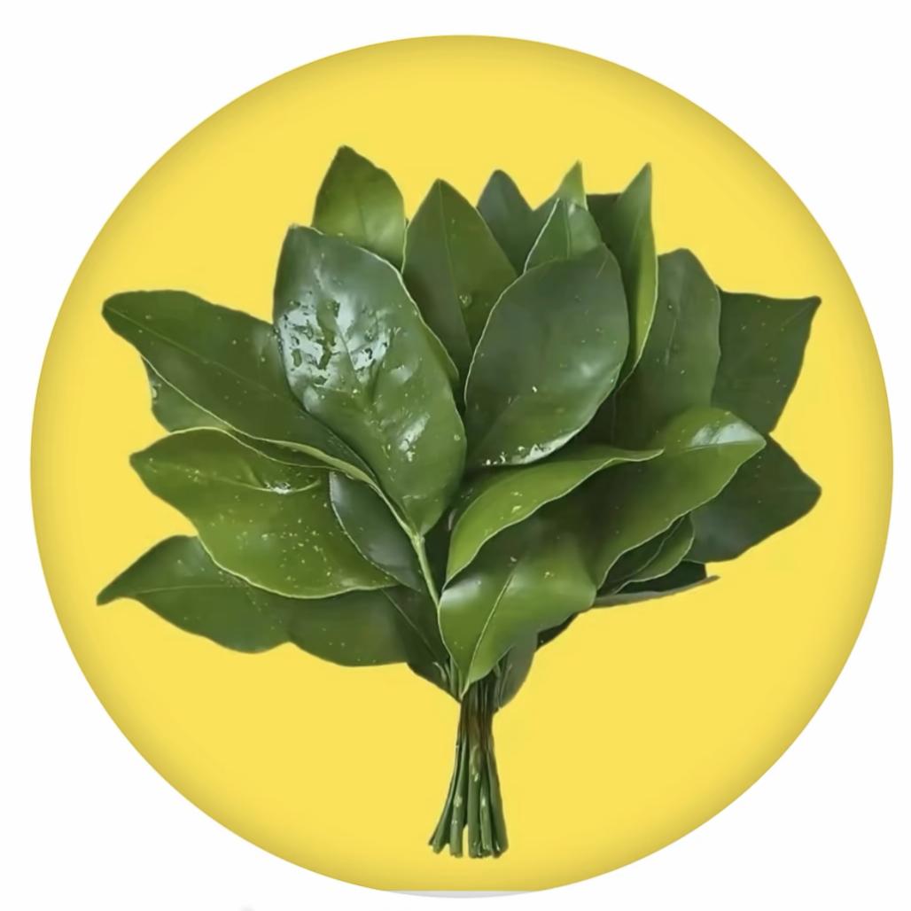 暖贴专场（仅限一天）