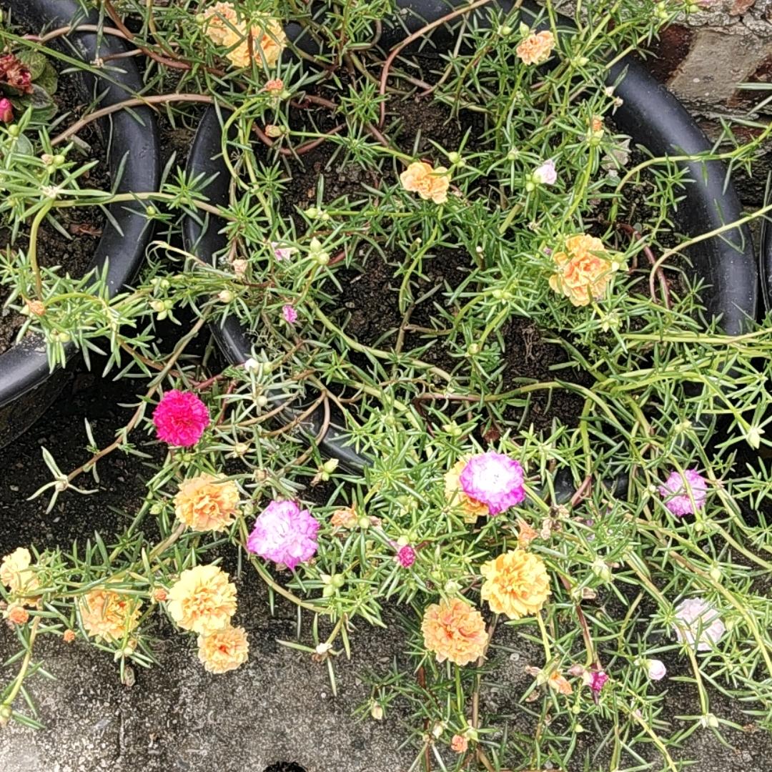 百度都搜索不到我