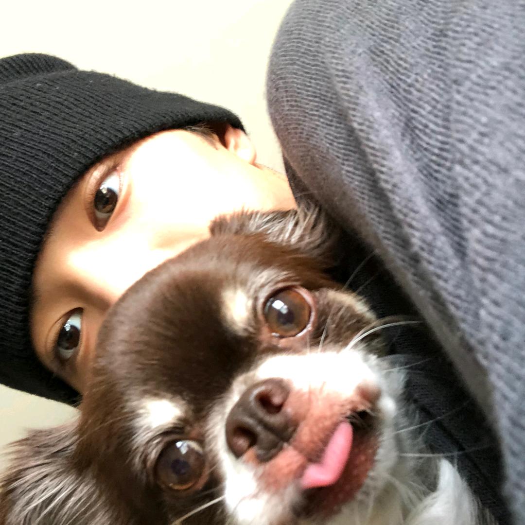 哈哈哈（见过Cortis版）