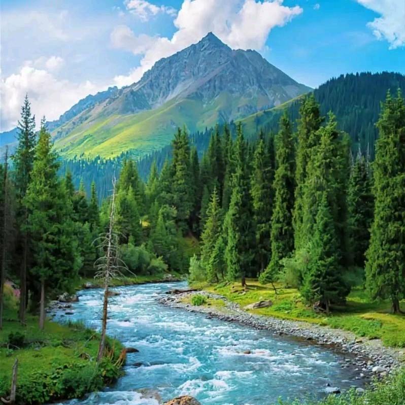 丽江博雅旅拍。