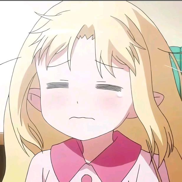 安安狸