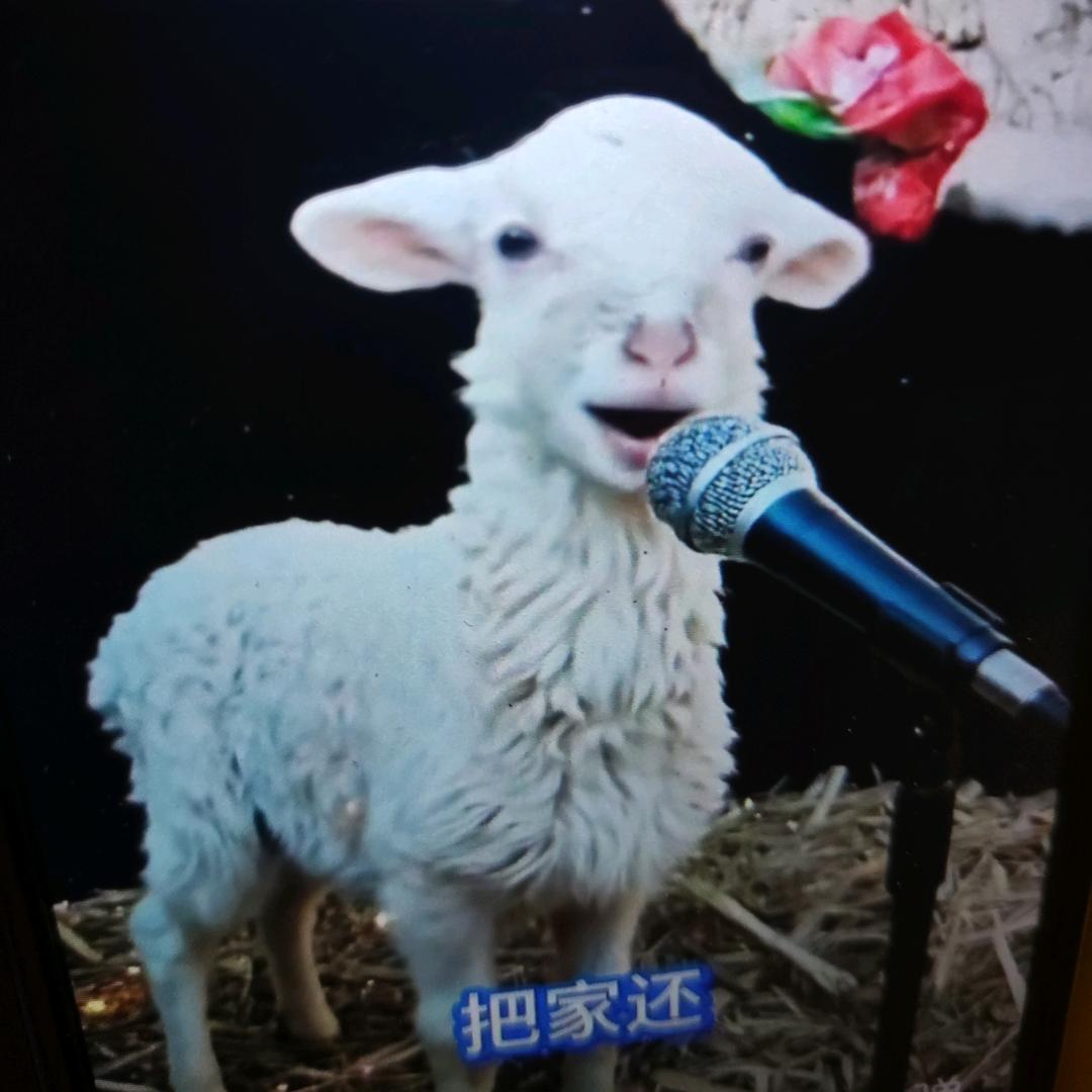 知足常乐