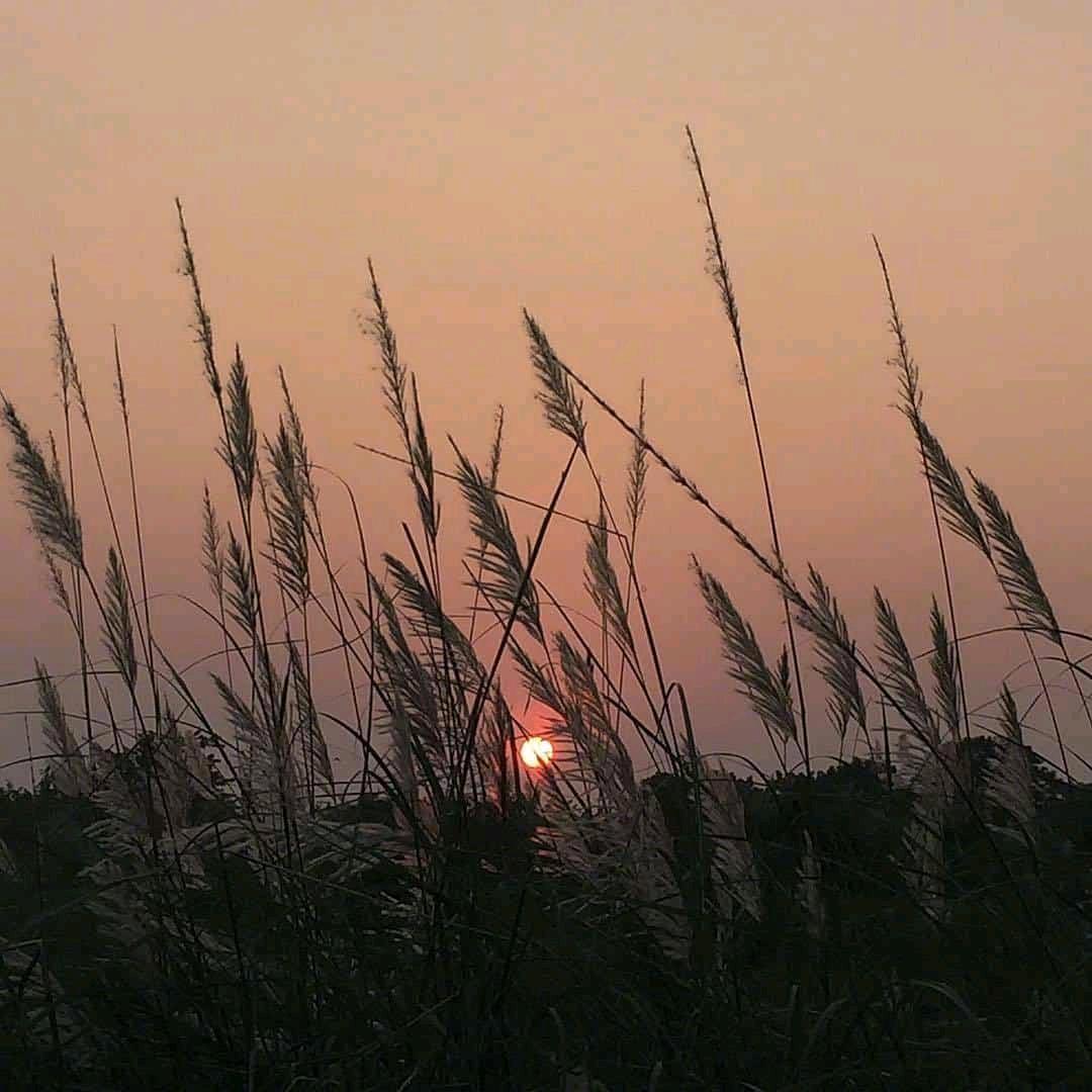 ꧔ᤎᤥ末ᤐᤨ凉ꪾᤎᤥ