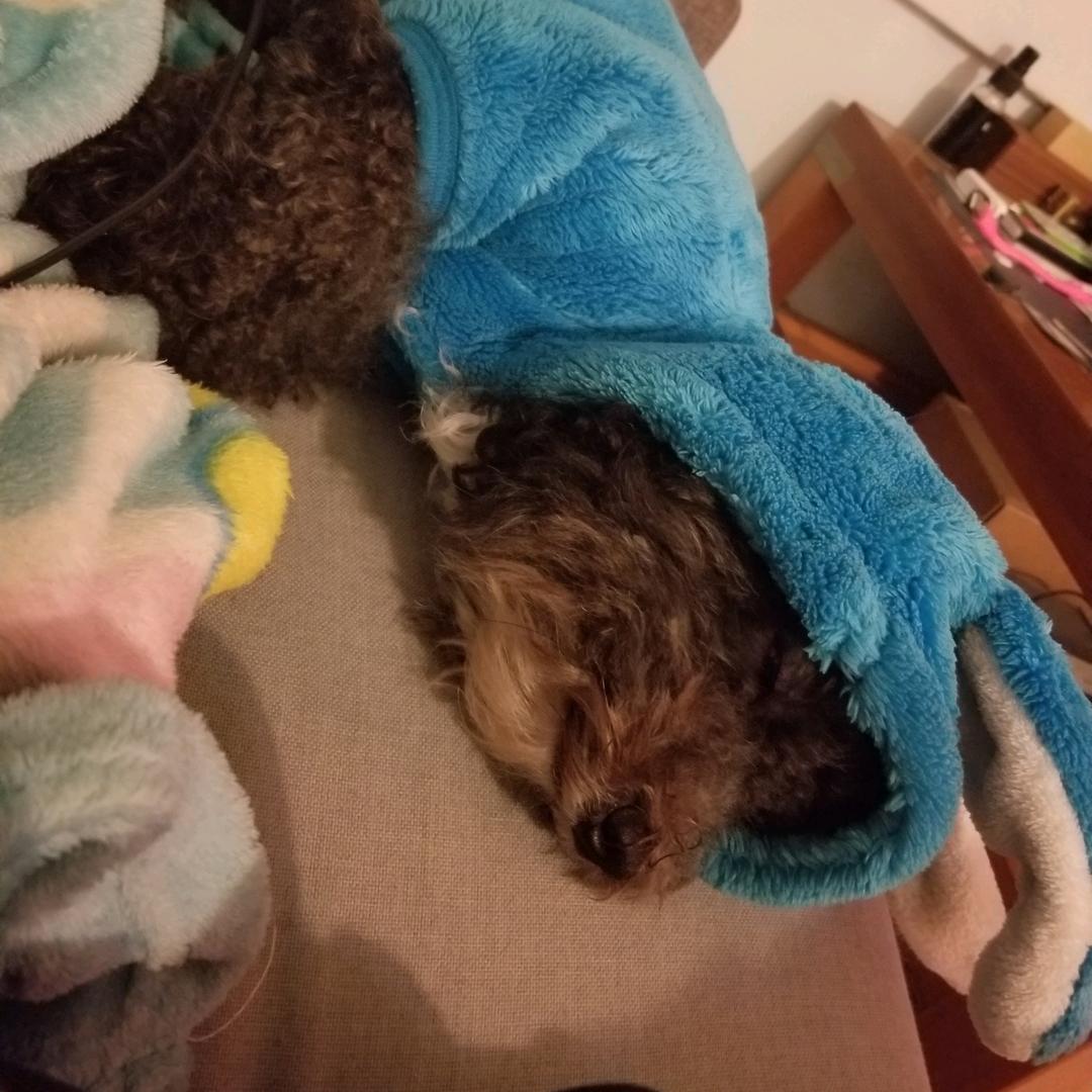 陈🔪仔      🙈🙈