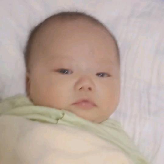 虎🐅虎🐅生🌺威🌺