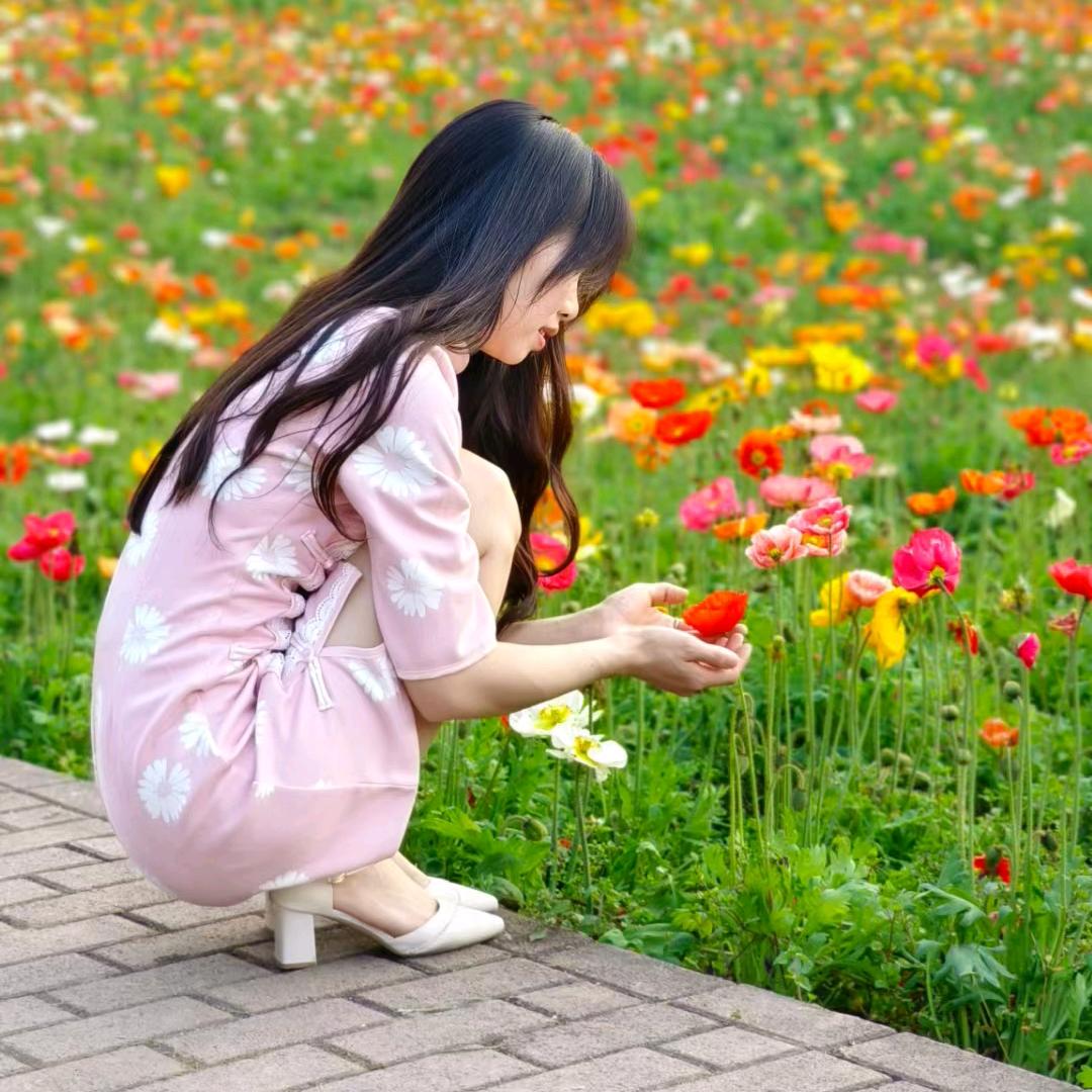 足来足往   小燕